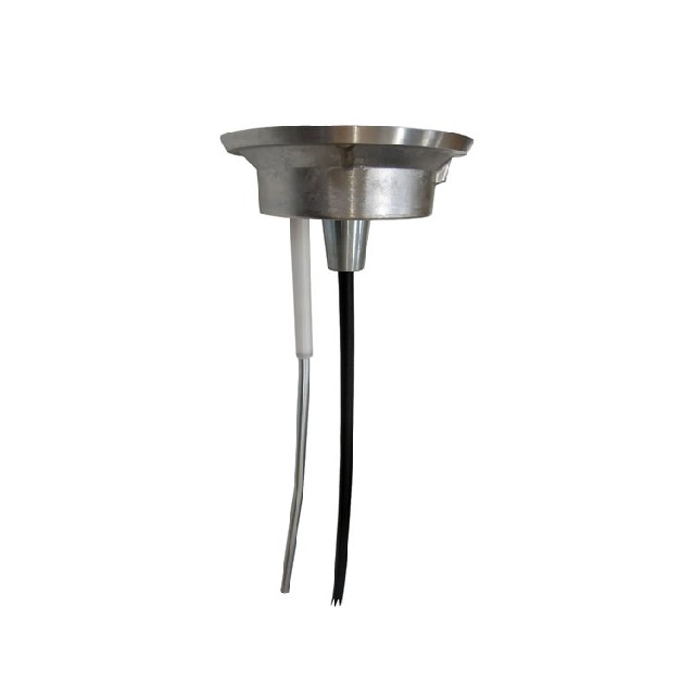 Agromatic  ACC1BD ATEX 電容式棒式探頭（10-30 VDC）