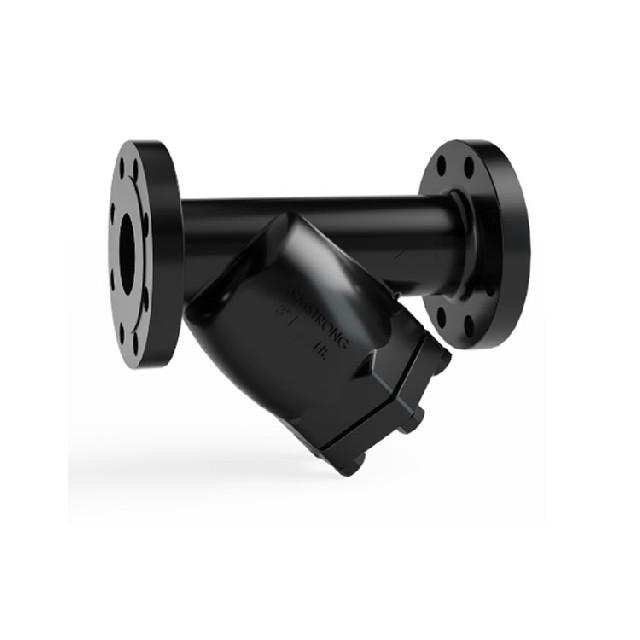 美國armstrong  A 系列 Class 250 法蘭式 Y 型過濾器