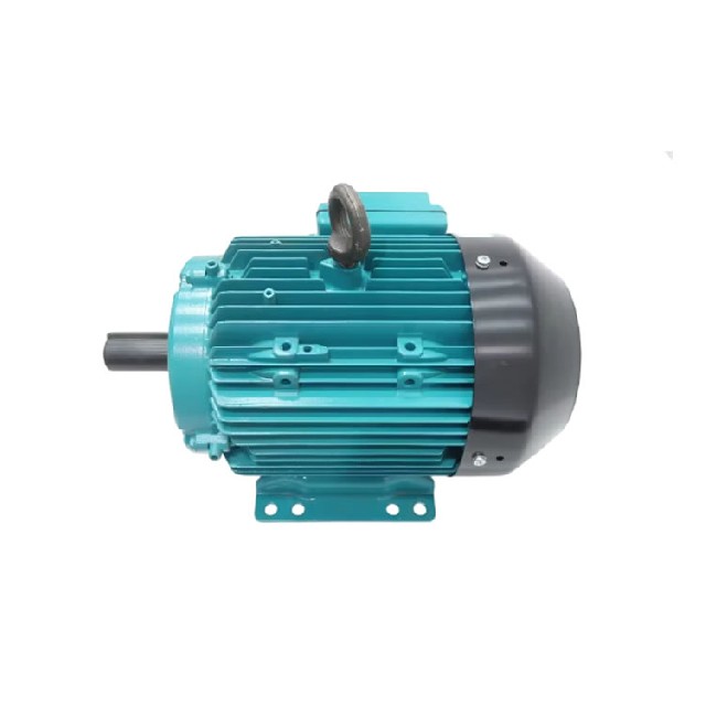 Brook Crompton WP-DA184TS-S2 三相感應(yīng)電動(dòng)機(jī)