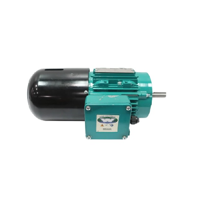 Brook Crompton W-DA56-E 三相感應(yīng)電動(dòng)機(jī)