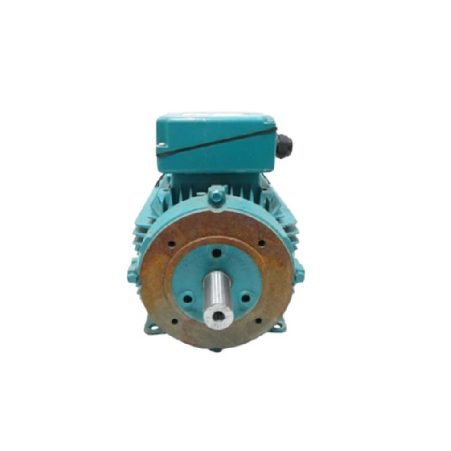 Brook Crompton WP-DA100LTF-C4 三相感應(yīng)電動(dòng)機(jī)