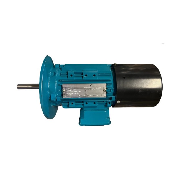 Brook Crompton DA71F-H 三相交流電動(dòng)機(jī)