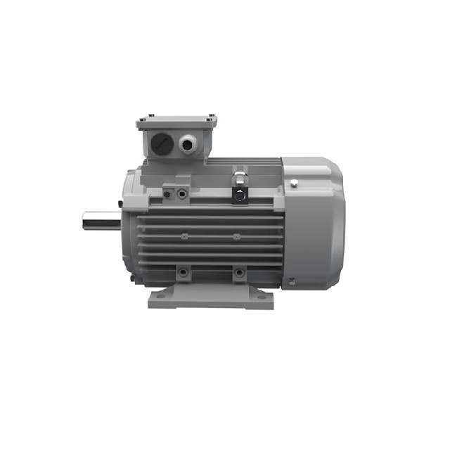 Ac-Motoren ACA 100 L 4/8 三相異步電機